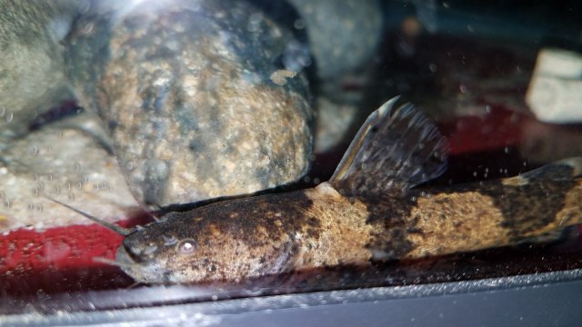 20180501_124243.jpg