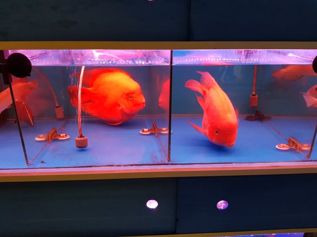 20180430_140420.jpg
