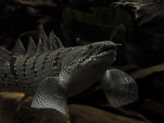 DSCN2392.JPG