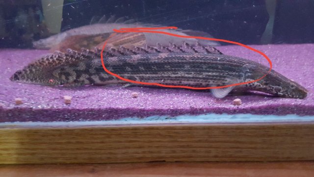 20170609_174803.jpg