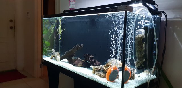 20180502_121021.jpg