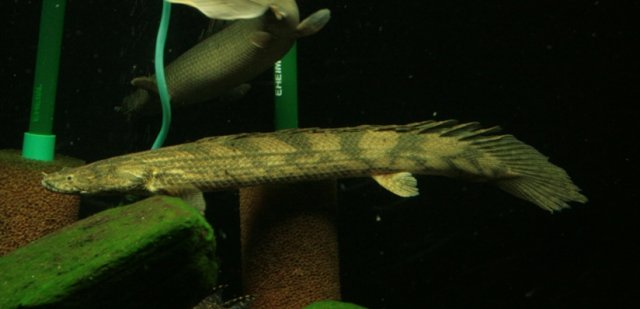 IMG_6290.JPG