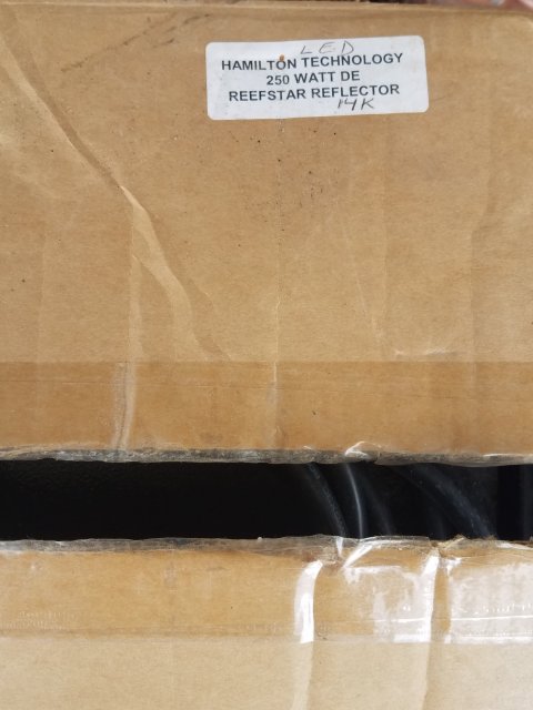 20180503_160323.jpg