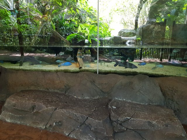 20180425_144309.jpg