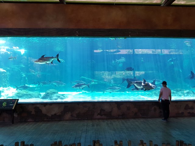 20180425_143123.jpg