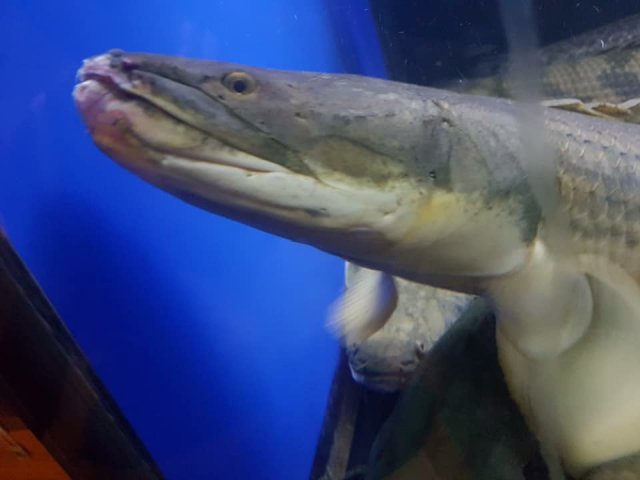 5D9F7737-F4A9-4DDB-93C3-E70939B50ADE.jpeg
