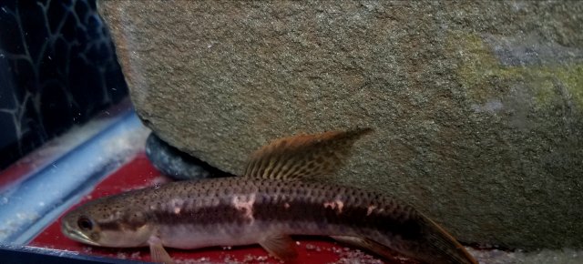 20180504_212419.jpg