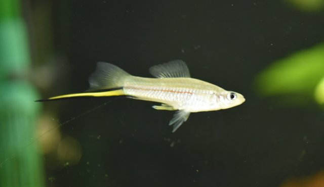 DSC_8885.jpg