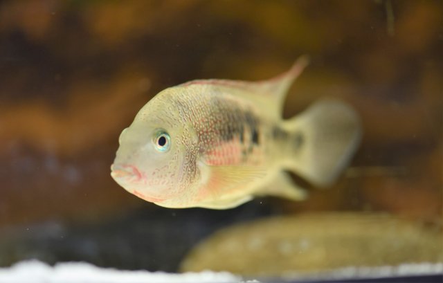 DSC_8892.jpg