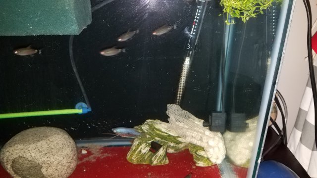 20180505_182938.jpg