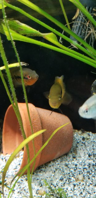 20180503_202123.jpg