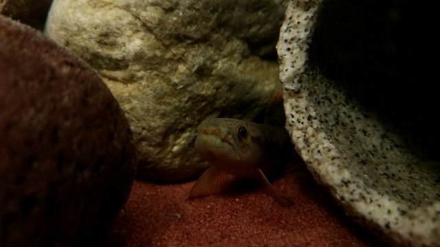 20180506_155222.jpg