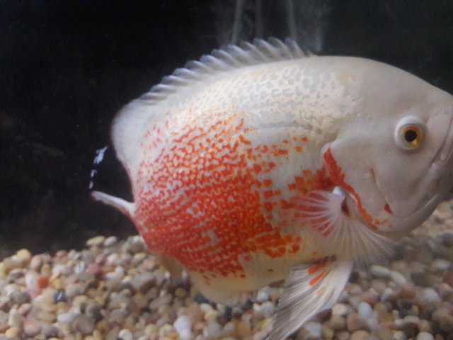 20180506_144501.jpg