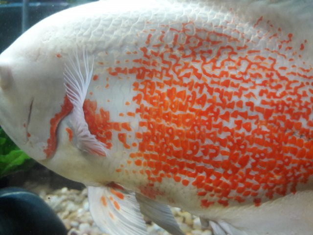 20180506_144449.jpg