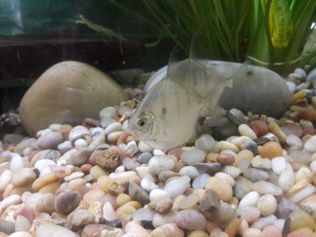 20180506_144406.jpg