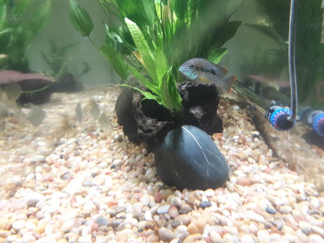 20180506_170256.jpg