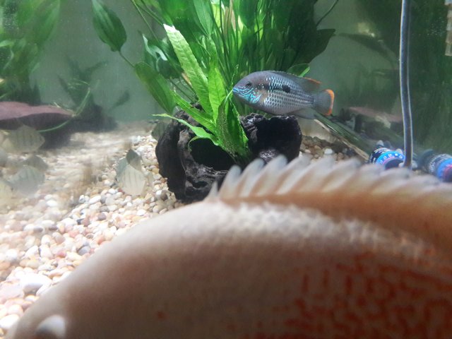 20180506_170302.jpg
