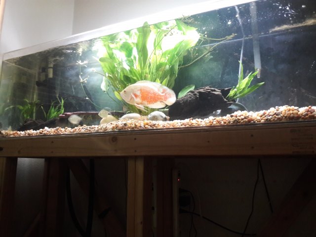 20180507_100724.jpg
