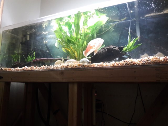 20180507_100730.jpg