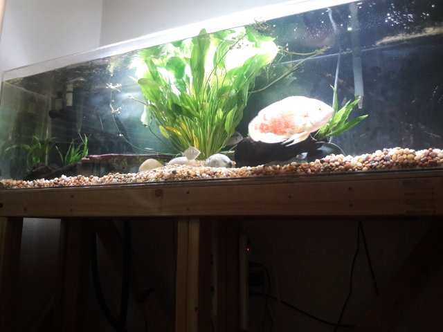 20180507_100733.jpg