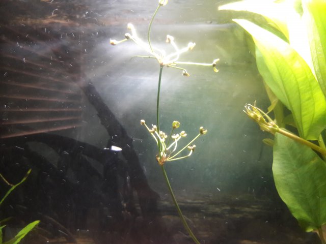 20180507_123730.jpg