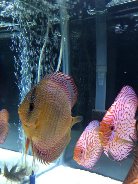 IMG_7542.jpg IMG_7542.jpg