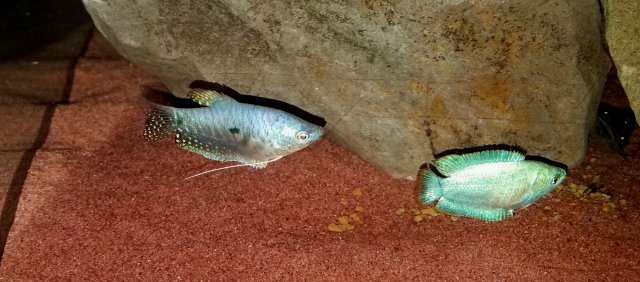 20180507_155907.jpg