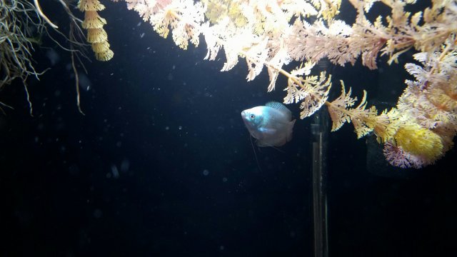 20180507_150830.jpg