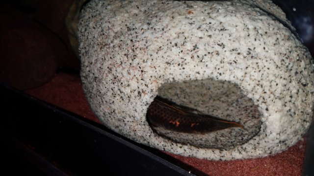 20180507_144820.jpg