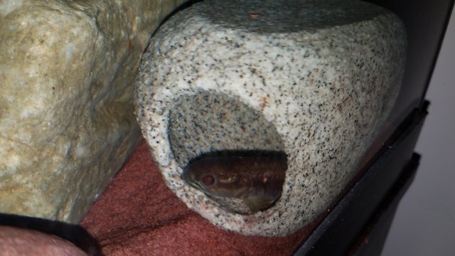 20180507_144815.jpg