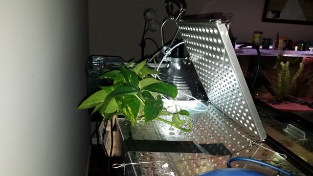 20180507_144759.jpg