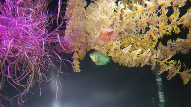 20180507_144652.jpg