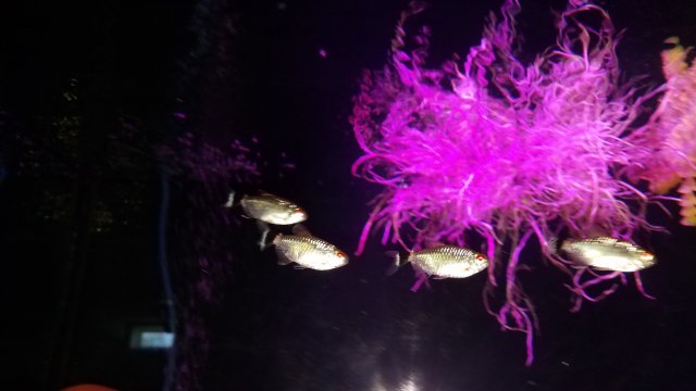 20180507_144633.jpg
