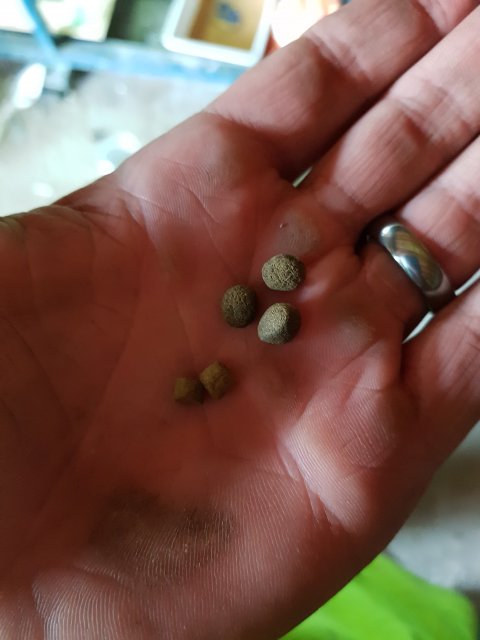 20180508_144841.jpg