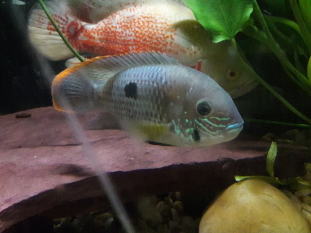 20180507_235421.jpg