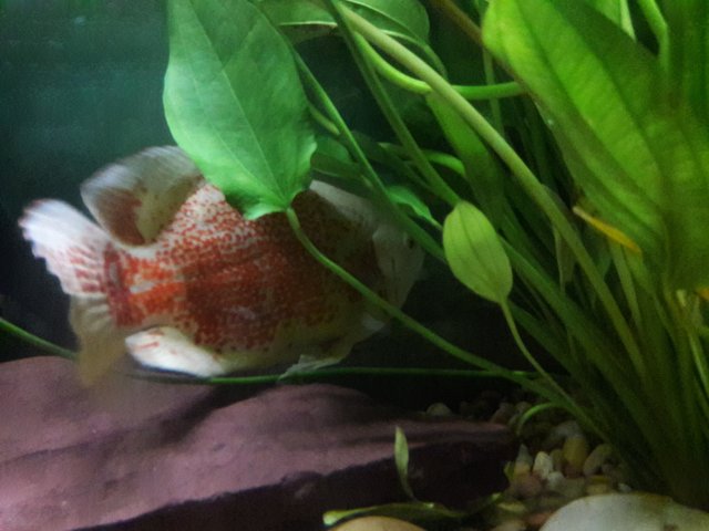 20180507_235612.jpg