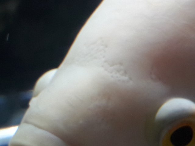 20180508_140204.jpg