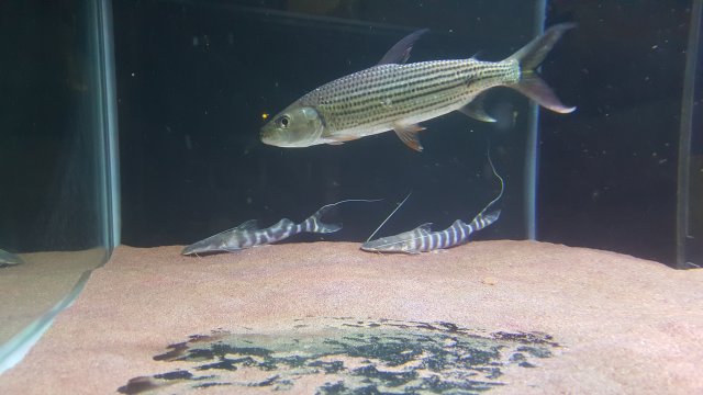 20180505_190602.jpg