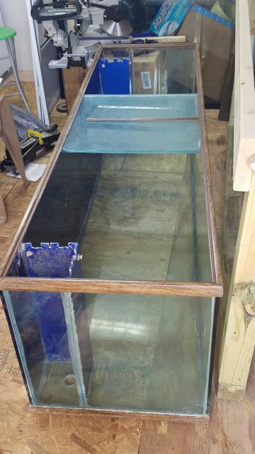 20180509_101453.jpg