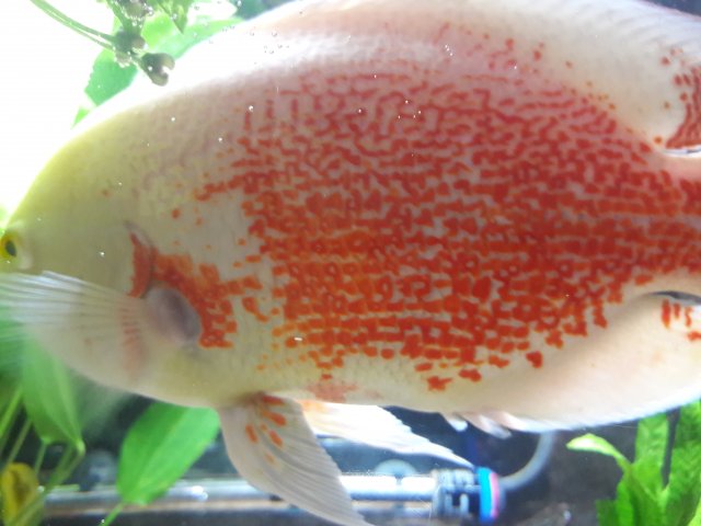 20180508_140034.jpg