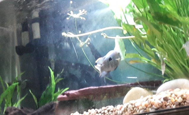 20180509_174347.jpg