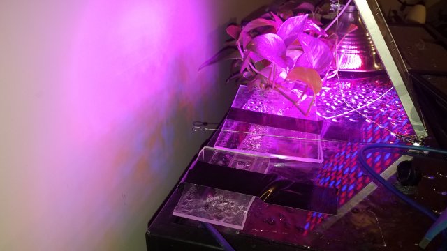 20180511_103735.jpg