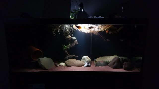 20180511_154553.jpg