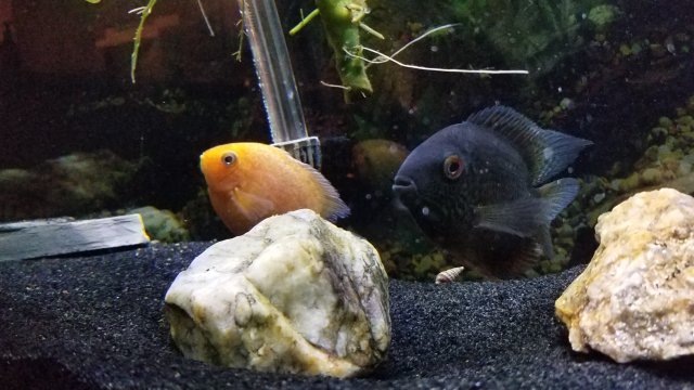 20180427_192424.jpg