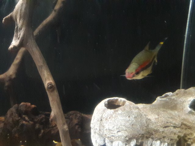 20180513_173010.jpg