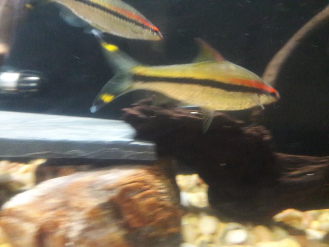 20180513_173105.jpg