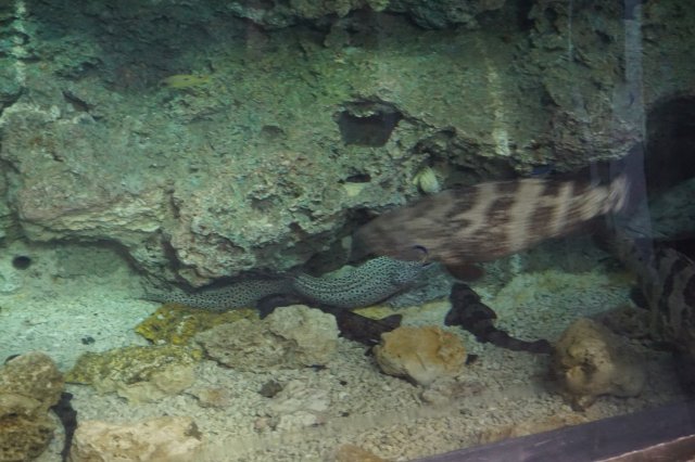 DSC07360.jpg