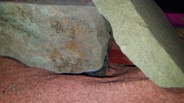 20180514_112119.jpg