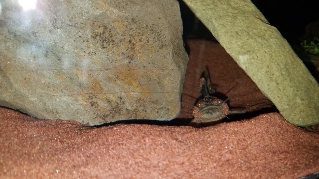 20180513_203838.jpg
