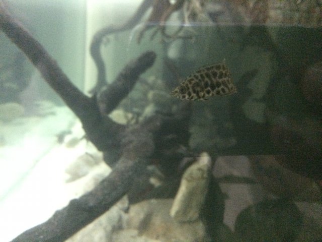 B2E347A1-95B3-4A44-BD39-6BFEA776D88D.jpeg B2E347A1-95B3-4A44-BD39-6BFEA776D88D.jpeg